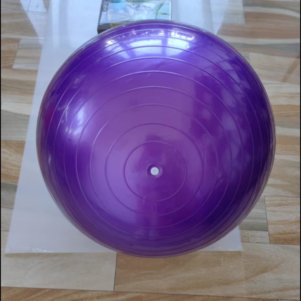 Exercise Ball (Blue, Silver, Purple)